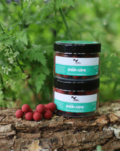 Load image into Gallery viewer, Original Squid and Octopus 🐙 🦑