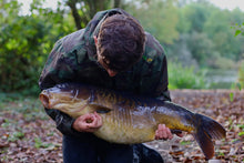 Load image into Gallery viewer, Original Squid and Octopus 🐙 🦑