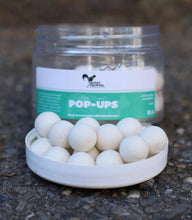 Load image into Gallery viewer, Billingsgate popups.