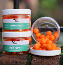 Load image into Gallery viewer, Cherrybombz π π£