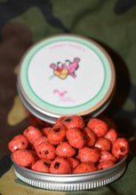 Load image into Gallery viewer, Candyberry Tigers.