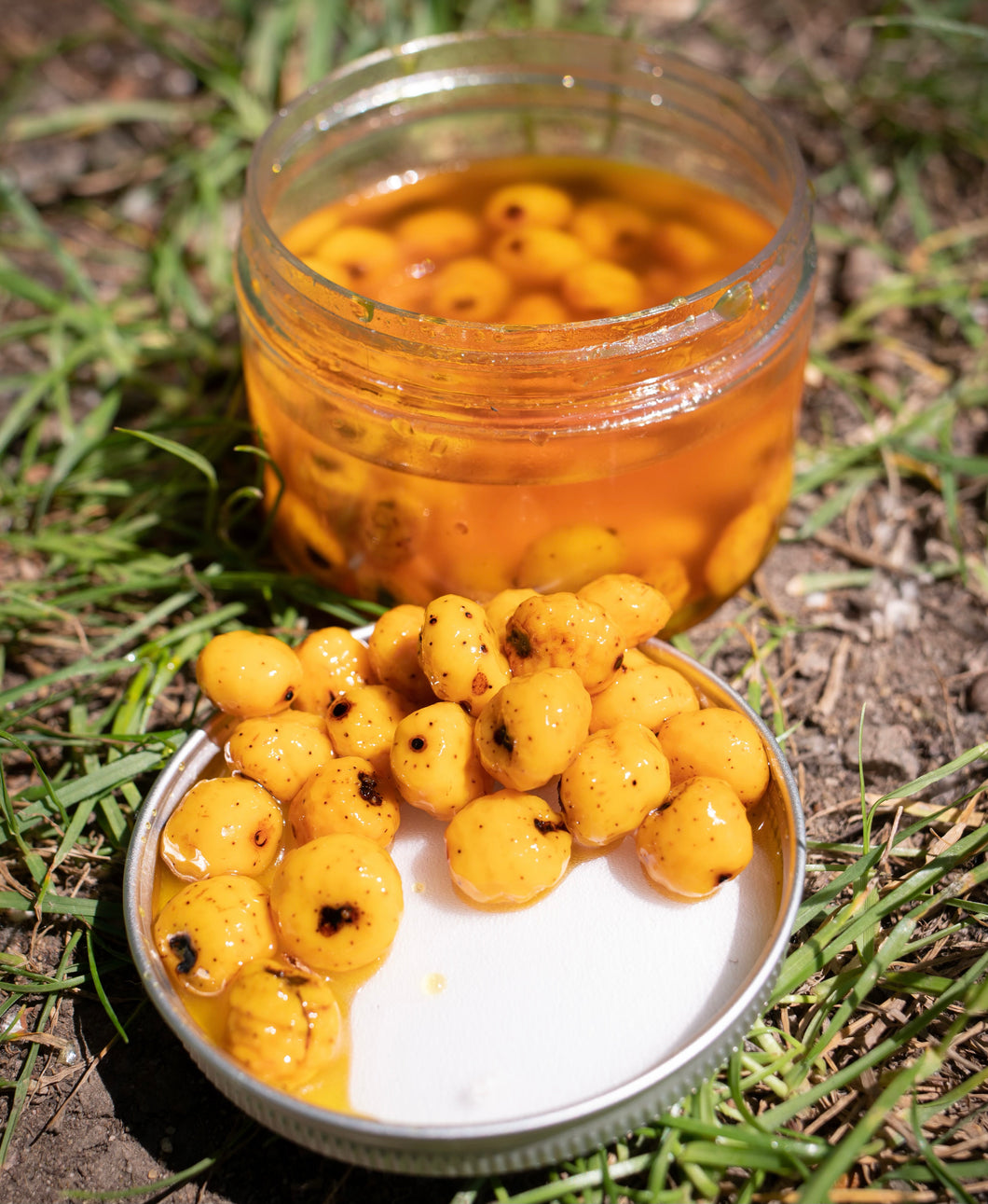 Yellafella tigers.